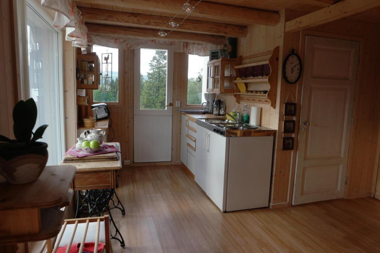 Apartamento Vognbu Gran Nordre Snåsa Exterior foto